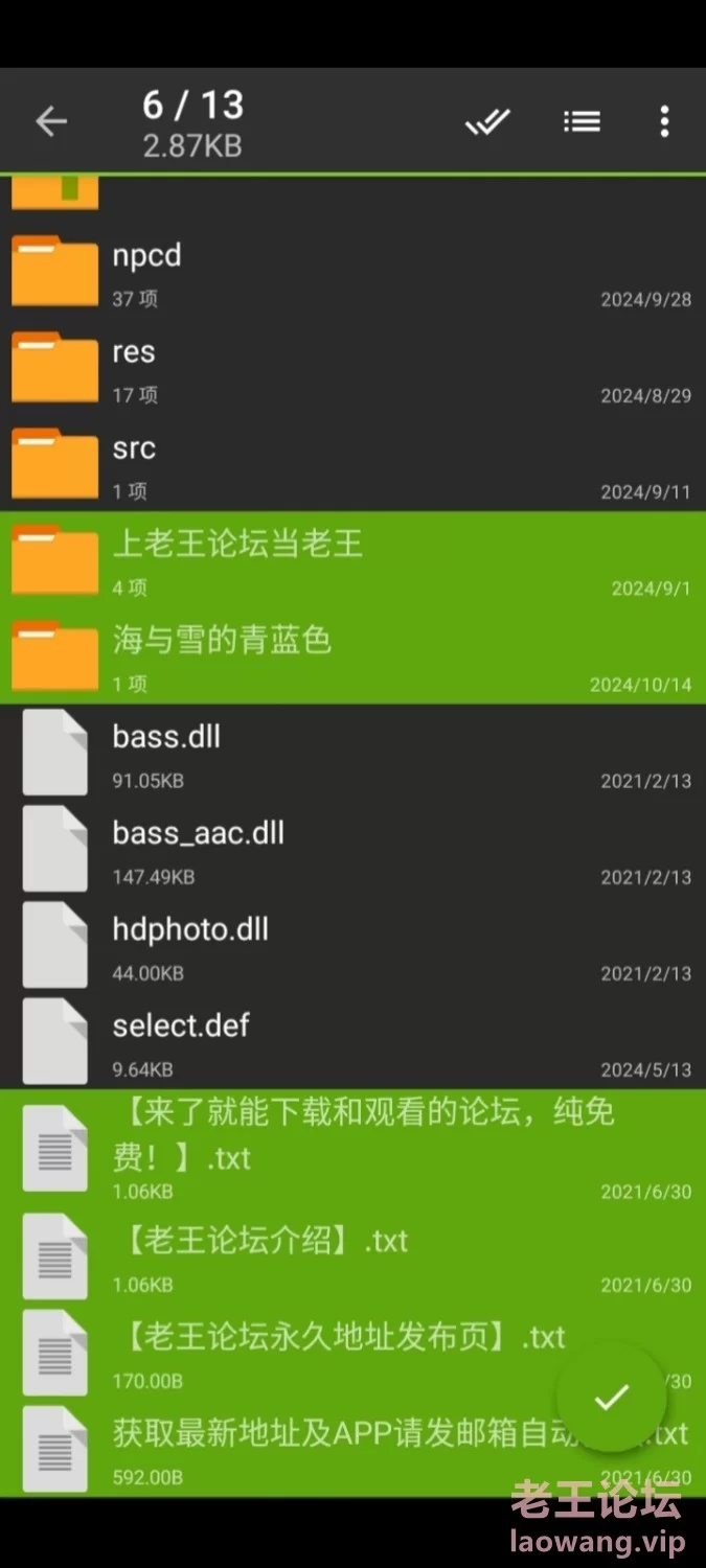 Screenshot_2024-10-26-13-13-46-30.jpg