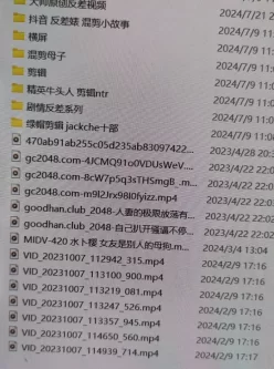 <b style='color: red;'>[已失效] </b>[自行打包] 一些反差，混剪类视频 [nv+71g][百度盘]